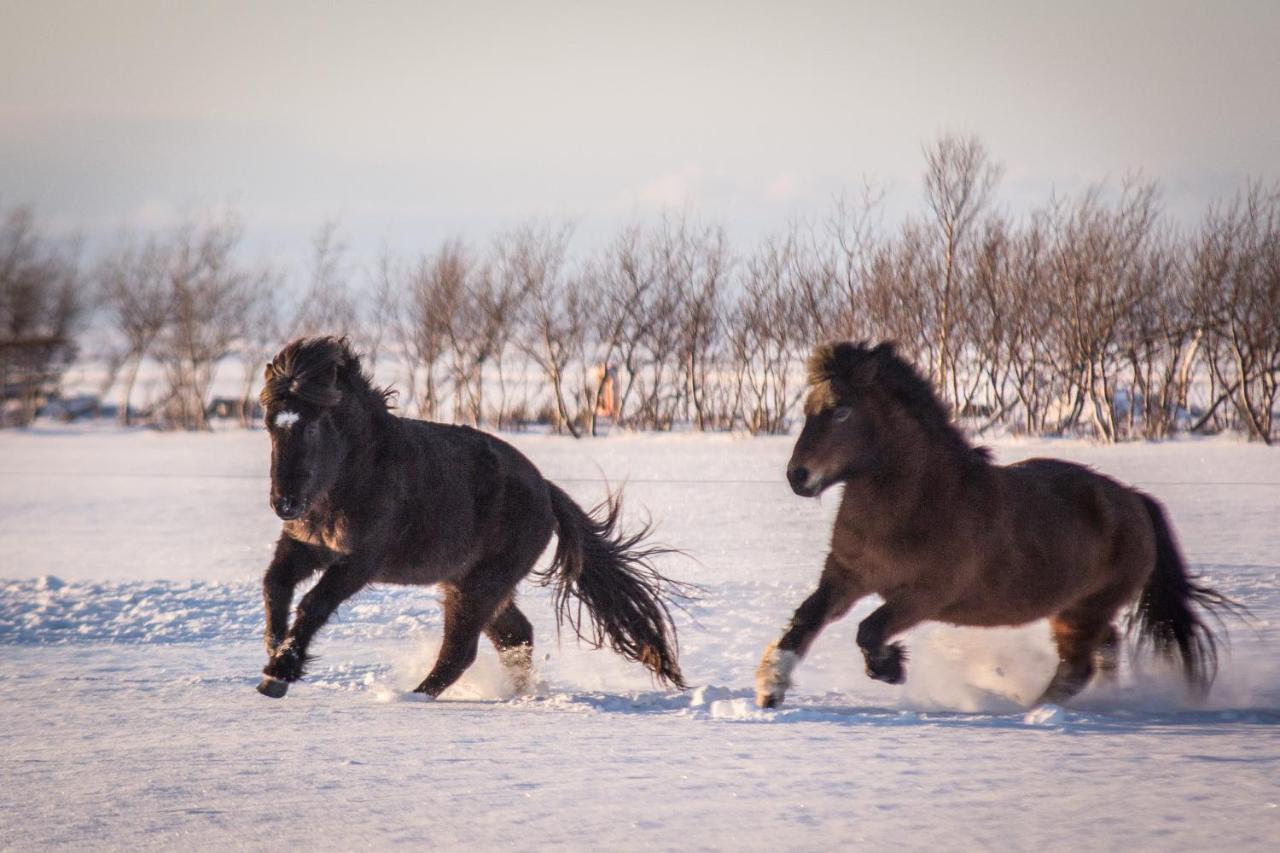 Rauthuskrithur Farm Holmabaeir ภายนอก รูปภาพ